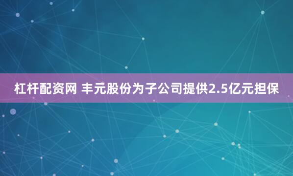 杠杆配资网 丰元股份为子公司提供2.5亿元担保